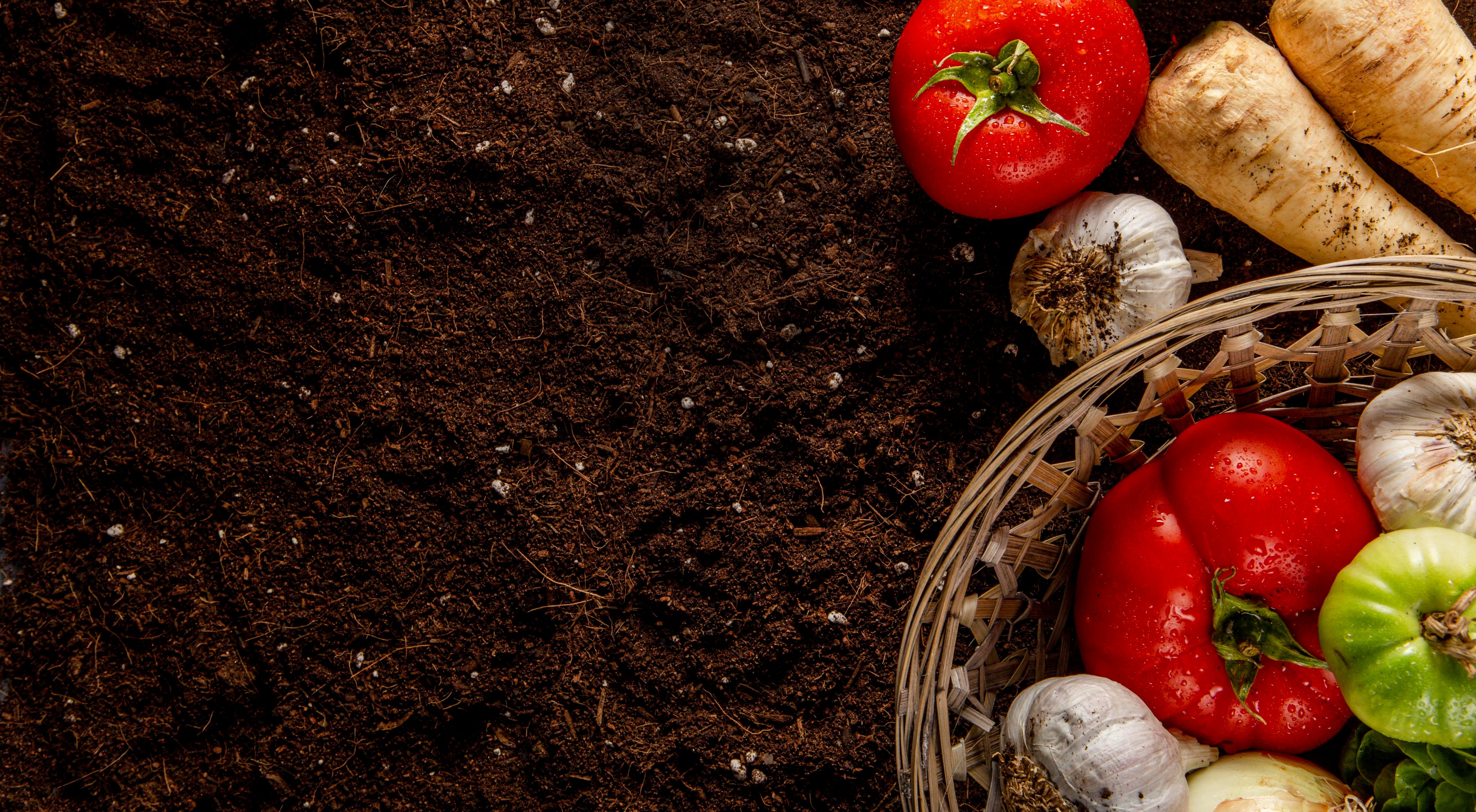Organic Manure